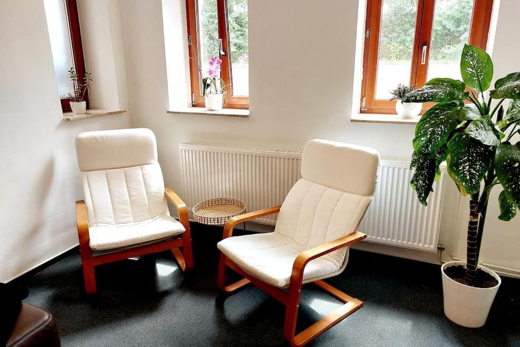 Zentrale Ferienwohnung - Direkt Am See Und Schloss Schwerin  Exterior foto