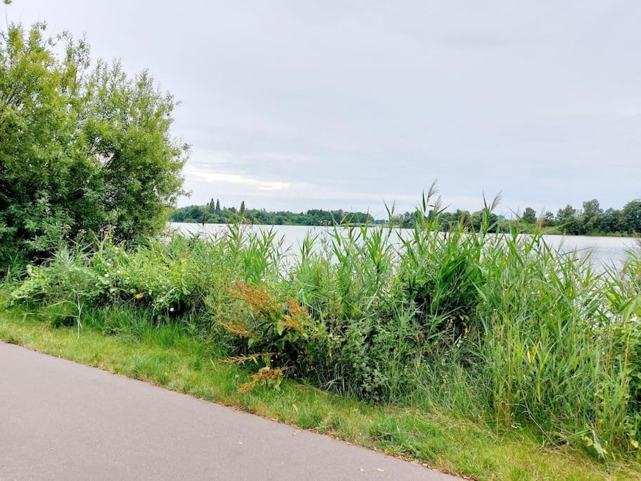 Zentrale Ferienwohnung - Direkt Am See Und Schloss Schwerin  Exterior foto